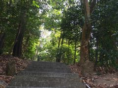 -中山市树木园