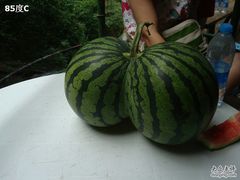 -藏龙百瀑风景区