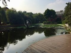 -小海豚国际游泳培训(长宁龙之梦酒店)