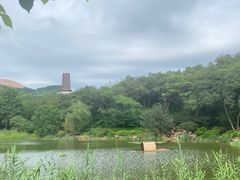 -牛首山文化旅游区