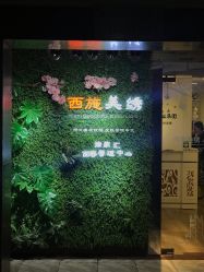 -西施无菌半永久纹绣眉眼影唇轻增发纹发际线