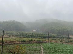 -仙霞关景区