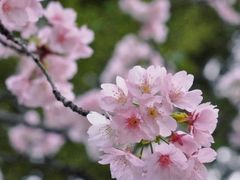 -静安雕塑公园