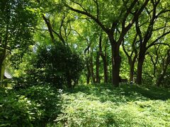 -徐家汇源景区-衡山公园