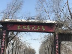 -雾凇岛