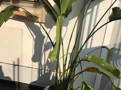 -UNI UNI(环亚凯瑟琳店)