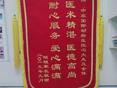 -中农国际动物医院24小时·猫科·骨科·急重症中心