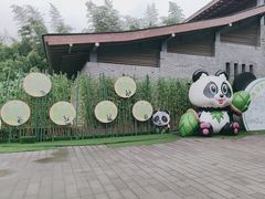 -都江堰中华大熊猫苑