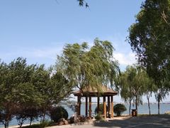 -丁香湖公园