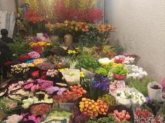 -双季花艺园艺市场(浦东店)