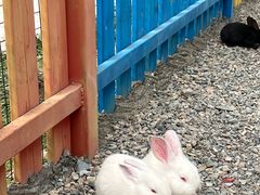 -云漫湖生态度假公园