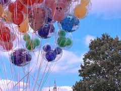 -上海迪士尼度假区