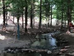 -白水寺森林公园
