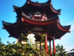 -大雁塔文化休闲景区-北广场
