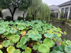 -绍兴大禹开元观堂-若耶厅