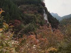 -黄花溪