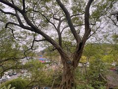 -幕燕滨江·燕子矶公园