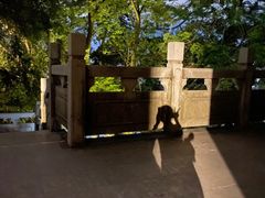 -水濂山森林公园