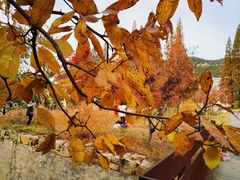 -昆嵛山石门里景区