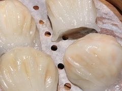 -高第街56号餐厅(银座商城玉函店)