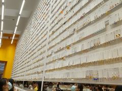 -KKV(深圳宏发大仟里店)