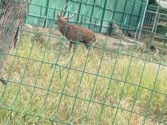 -菊园百果园