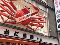 -蟹道乐(道顿堀本店)