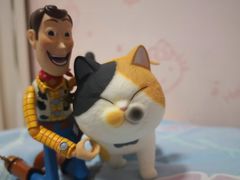 -泡泡玛特POPMART(天环购物中心店)