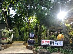 -绿光森林餐厅