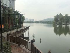 -东湖食堂·湖景餐厅•会议