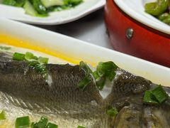 -京城小江南·北京烤鸭·江南土菜·白鱼(中关村店)