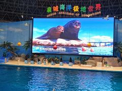 -泉城欧乐堡海洋极地世界