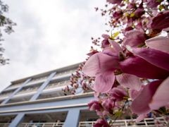 -金陵中学(河西分校)