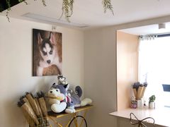 -Husky Go! 哈士奇体验馆·宠物咖啡厅狗咖