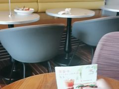 -Wagas沃歌斯(汇智店)