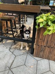 -何柒有幸母婴护理月子会所(长妇婴店)