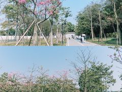 -顺峰山公园