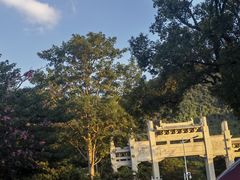 -梧桐山风景名胜区