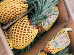 豆奶凤梨-菜园坝水果市场