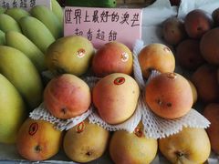 -大湾区中央湿地公园-十九涌