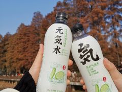 -东湖磨山景区