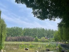 -仁和公园(顺义区)