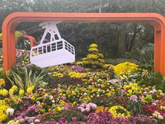 -南山植物园