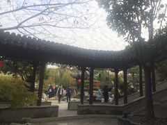-檀园