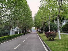 -大渡口区义渡公园
