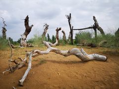 -亿利库布其七星湖沙漠生态旅游区