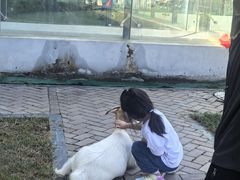 -廊坊固安福朋喜来登酒店