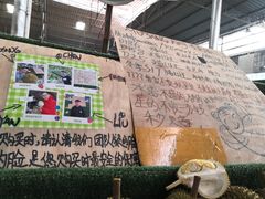 -曼阁市场水果批发市场