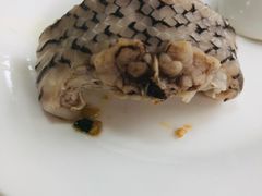 -荔城生鲜盛宴(番禺旗舰店)