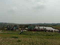-空港花田景区
